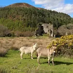 Castle View House - Luxury Coastal Retreat - Ring Of Kerry - Wild Atlantic Way - Sleeps 12 - Sea And Mountain Views Glenbeigh