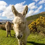 Semesterbostad Castle View House - Luxury Coastal Retreat - Ring Of Kerry - Wild Atlantic Way - Sleeps 12 - Sea And Mountain Views Glenbeigh