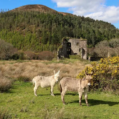 Castle View House -spacious Kerry Retreat -near Beaches And Golf - Shop-pubs 5 Minute Walk Glenbeigh