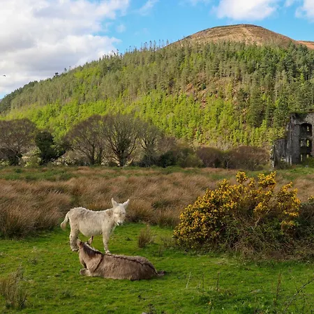 Luxury Vacation On The Ring Of Kerry-wild Atlantic Way With Mountain & Sea Views - 5 Min Walk To Village - 10 Min Drive To Rossbeigh & Dooks Golf Course * Glenbeigh