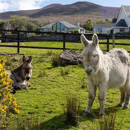 Luxury Vacation On The Ring Of Kerry-wild Atlantic Way With Mountain & Sea Views - 5 Min Walk To Village - 10 Min Drive To Rossbeigh & Dooks Golf Course Tatil Evi