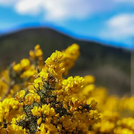 Luxury Vacation On The Ring Of Kerry-wild Atlantic Way With Mountain & Sea Views - 5 Min Walk To Village - 10 Min Drive To Rossbeigh & Dooks Golf Course *