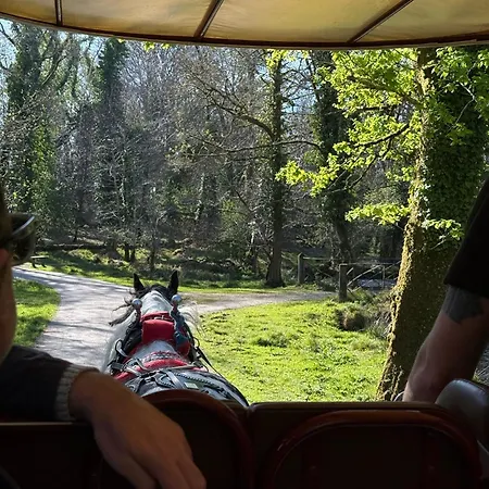 Tatil Evi Luxury Vacation On The Ring Of Kerry-wild Atlantic Way With Mountain & Sea Views - 5 Min Walk To Village - 10 Min Drive To Rossbeigh & Dooks Golf Course