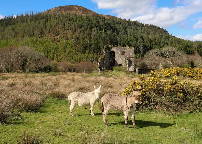 Castle View House -Luxury 7 Bedroom Property In Glenbeigh On The Ring Of Kerry-Wild Atlantic Way With Mountain & Sea Views - Close To Beach & Dooks Golf Course Glenbeigh