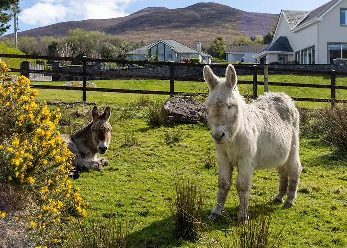 Castle View House -Luxury 7 Bedroom Property In Glenbeigh On The Ring Of Kerry-Wild Atlantic Way With Mountain & Sea Views - Close To Beach & Dooks Golf Course Hébergement de vacances